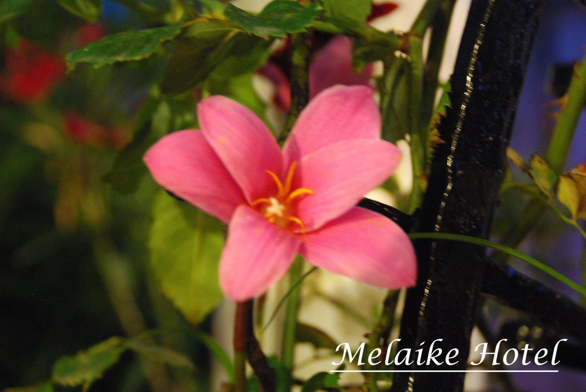 Melaike Hotel フォチャ エクステリア 写真